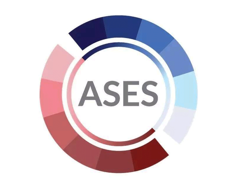 日(rì)産ASES供應商審核要(yào)求