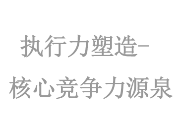 執行(xíng)力塑造----核心競争力源泉